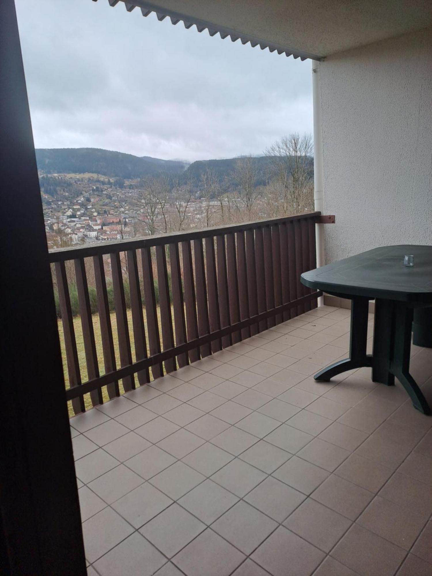 Appartement Residence Les Dryades Avec Vue Montagne ジェラールメ エクステリア 写真