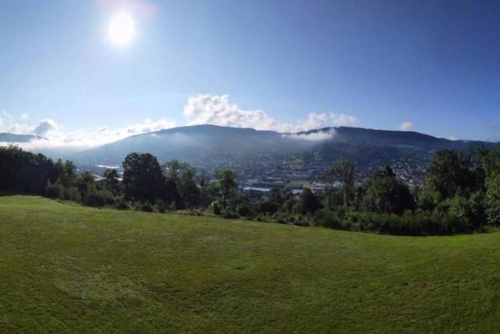 Appartement Residence Les Dryades Avec Vue Montagne ジェラールメ エクステリア 写真